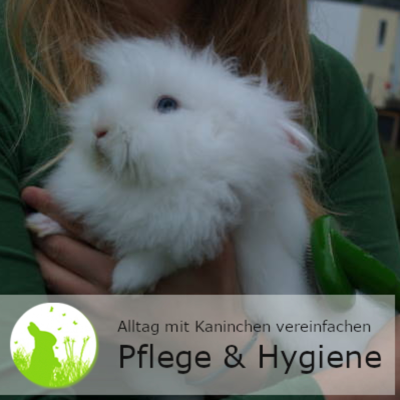 episode Pflege & Reinigung vereinfachen - so machst du dir die tägliche Versorgung leichter! artwork