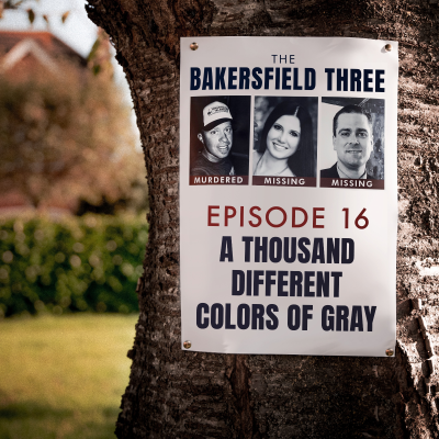 episode Episode 16: A Thousand Different Colors of Gray artwork