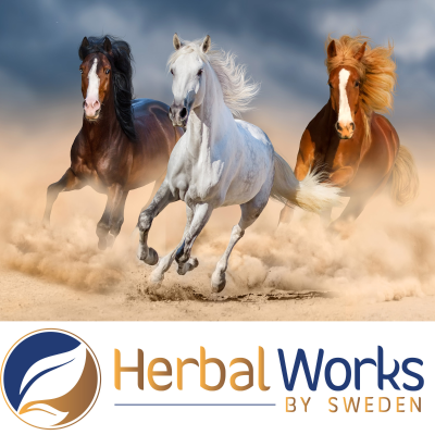episode Dags att förbereda för vintern! artwork