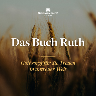 episode 04 - Gottes Liebe gespiegelt - Das Buch Ruth artwork