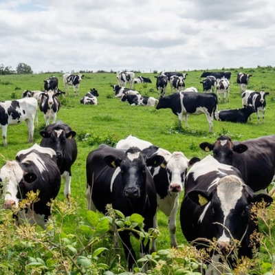 episode TB Breakdown artwork