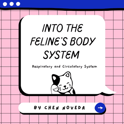 Into the Feline's Body System