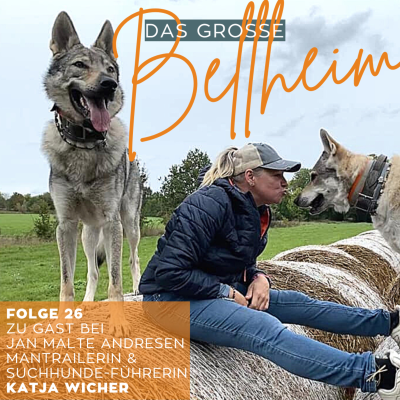 episode #26 - Katja Wicher - Wenn der Hund mal weg ist artwork