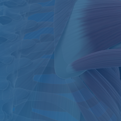 episode Sarcopenia and Aging: Understanding Muscle Loss and Bone Health artwork