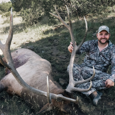 episode Post Card Elk Hunt Success artwork