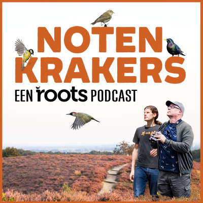 episode #57 Fluiter: draaiende munten in het bos artwork