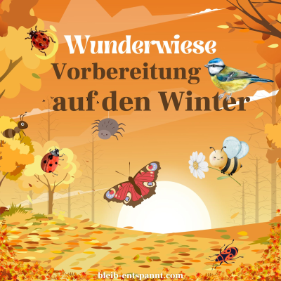 episode Traumreise für Kinder - Wunderwiese: Vorbereitung auf den Winter - Insekten im Winter artwork