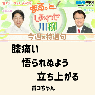 episode #53 まるっと!一年ありがとう artwork