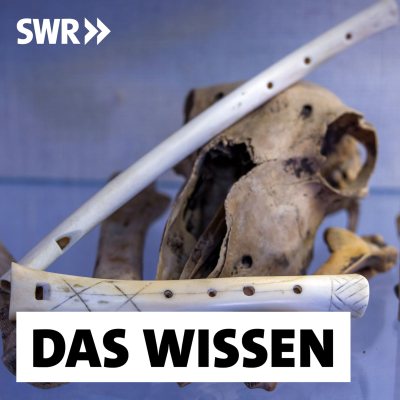 episode Wie der Mensch die Musik entdeckte artwork