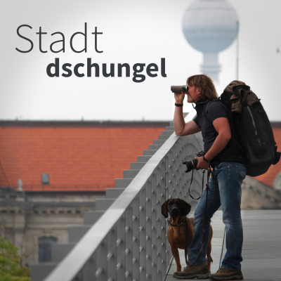 episode SD#026 - Der Wert der Natur artwork