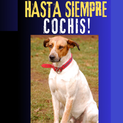 episode Hasta siempre Cochis! artwork