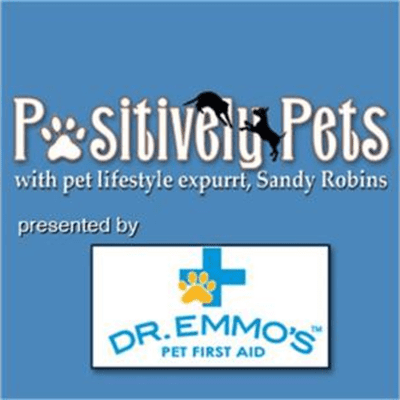episode From fashion statements to a test that could save your Fido artwork