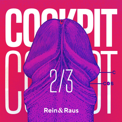 episode #237 › COCKPIT 2/3: Erektile Dysfunktion und frühzeitiger Samenerguss heilen – Erektionsstörungen im Nervensystem artwork