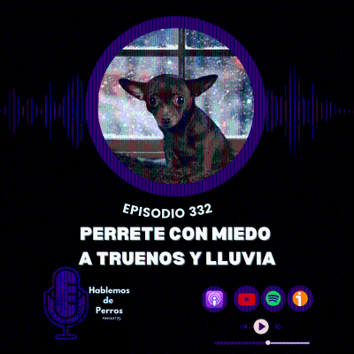 episode Ep #332: Superar el miedo a tormentas artwork