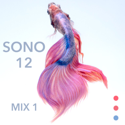 episode SONO 12 - Part 1 artwork