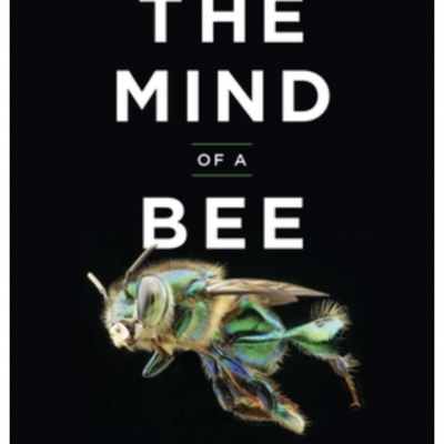 Episode 674: Lars Chittka - The Mind Of A Bee