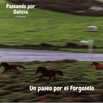 episode Un paseo por el Forgoselo artwork