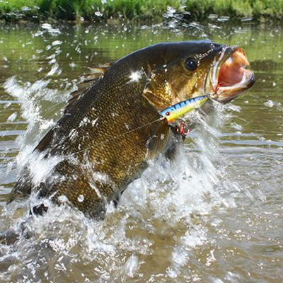 episode Fishing Report 08/31/17 artwork