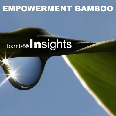 BAMBOO INSIGHTS