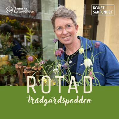 episode Sätt stilen med sommarblommor! artwork