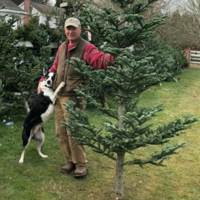 episode The Story Behind Merrywood Farm Christmas trees artwork