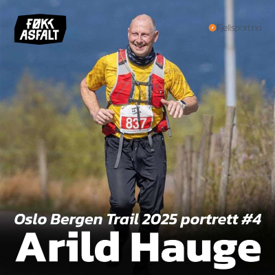 episode OBT 2025 Portrett #4 - Arild Hauge artwork