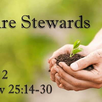 episode We Are Stewards - Audio artwork