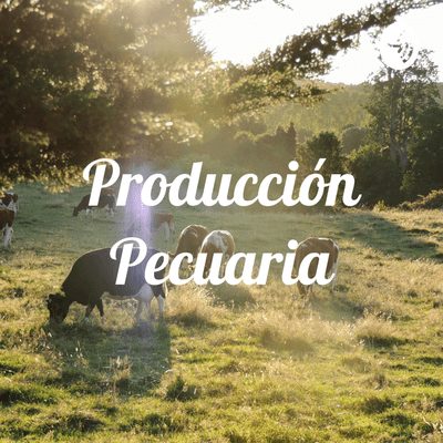 episode Ley 1774 de 2016 bienestar animal artwork
