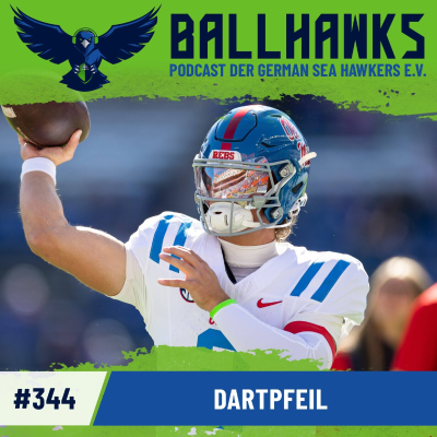 episode #344 – Dartpfeil artwork