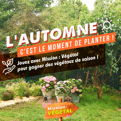 episode L'automne, c'est le moment de planter ! artwork