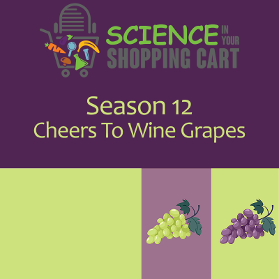 episode Season 12: Cheers To Wine Grapes artwork