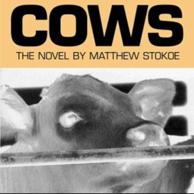 episode Cows: An Engaging Audio Summary of Matthew Stokoe's Gripping Novel artwork