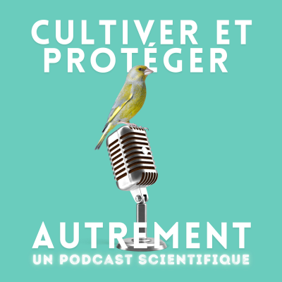 episode #11 BEYOND, Vers une surveillance épidémiologique intégrative. artwork