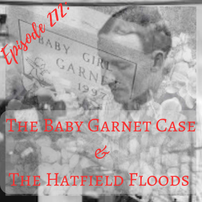 episode The Baby Garnet Case & The Hatfield Floods artwork