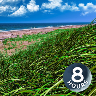 episode Ocean Waves and Gentle Breeze 8 Hours | Listen To Calm Your Mind & Relax artwork