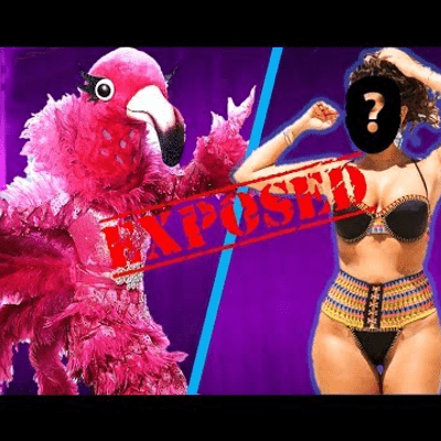 episode The Masked Singer Flamingo & Flower EXPOSED! Do You Agree With Our Prediction? artwork