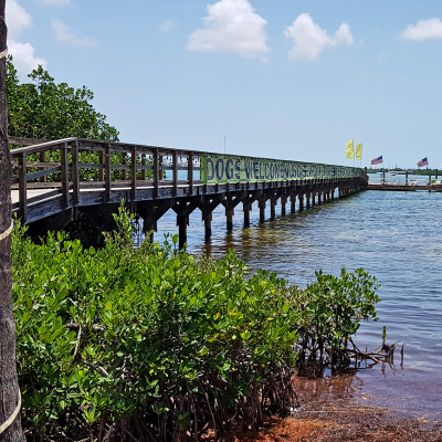 episode Florida - mal etwas anders artwork