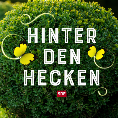 Hinter den Hecken