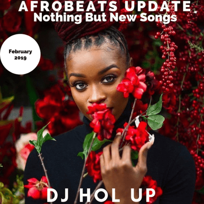 Afrobeats Dancehall & Hip Hop Mixes - (NEW SONGS)The Afrobeats Update February 2019 Mix Feat Tekno Davido Burna Boy Barry Jhay  Kcee