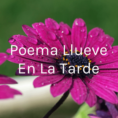 episode Poema Llueve en la tarde artwork