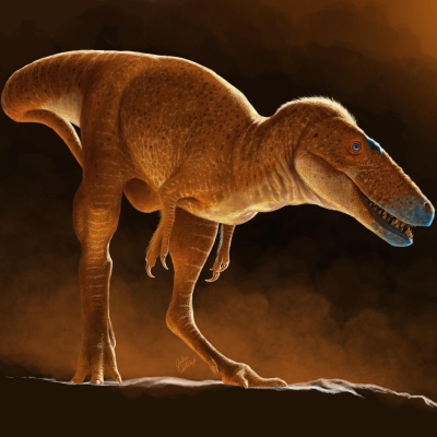 episode #234 Vorfahre des T. Rex entdeckt: Der Drachenprinz der Mongolei | So schaut die Sonne von unten aus | Jungen und Mädchen sind gleich gut in Mathe - bis zum Schulstart artwork