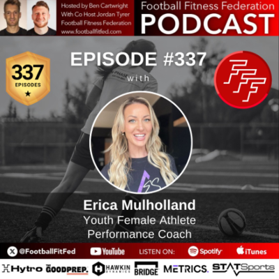 episode #337 "Embrace the Process" with Erica Mulholland artwork