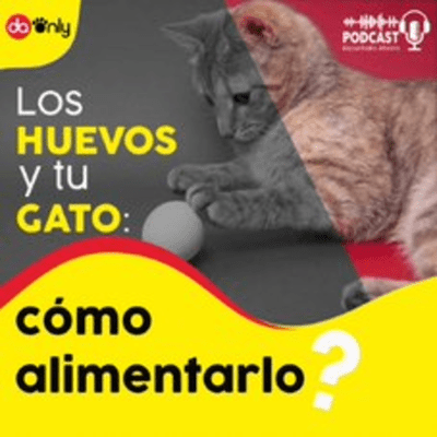episode Episodio 129: Los huevos y tu gato: cómo alimentarlo artwork