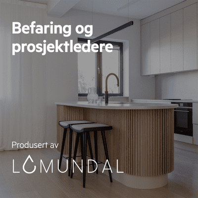 episode Lomundal - Befaring og prosjektledere artwork