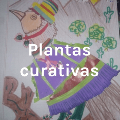 Plantas curativas