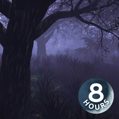 episode Rain & Thunder Sounds in Forest 8 Hours | Sleep, Study, Relax with Rainstorm White Noise artwork
