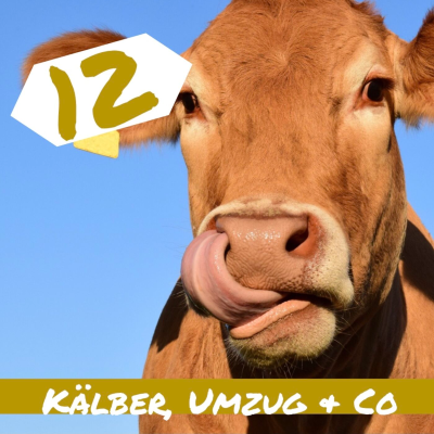 episode Kälber, Umzug & Co. artwork