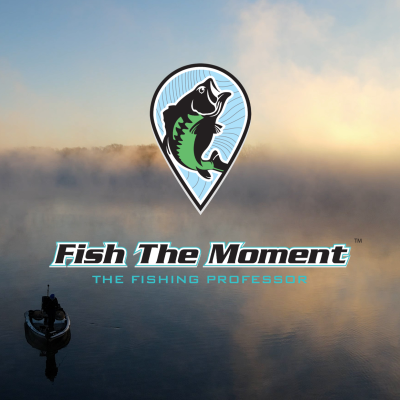 episode Jig Head Minnow WITHOUT Live Sonar - Does It Still Work? | FTM artwork