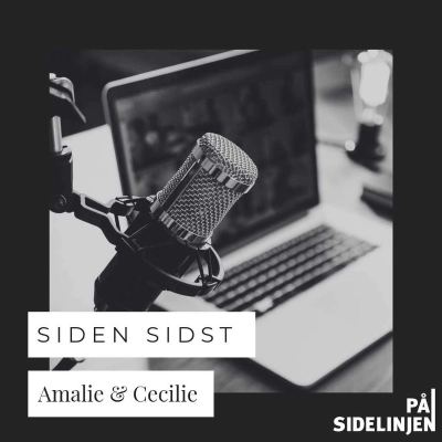 episode Afsnit 20 - Siden sidst artwork