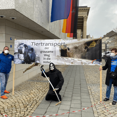 episode Mahnwache gegen Tiertransporte in Hannover - Live in Hannover artwork